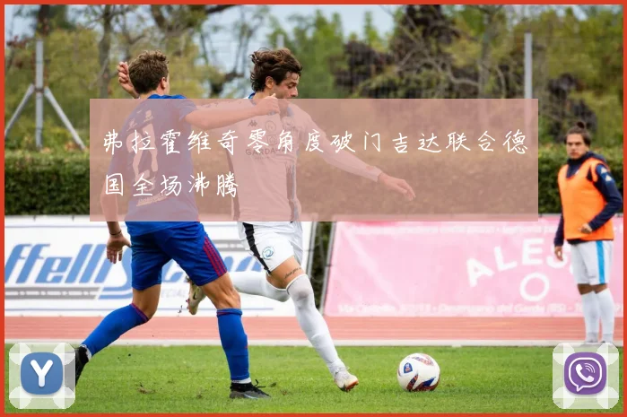 弗拉霍维奇零角度破门吉达联合德国全场沸腾