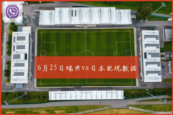 6月25日瑞典vs日本犯规数据