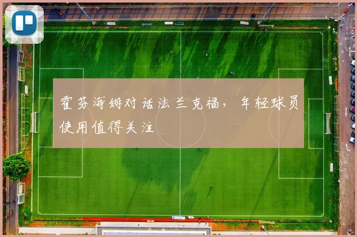 霍芬海姆对话法兰克福，年轻球员使用值得关注