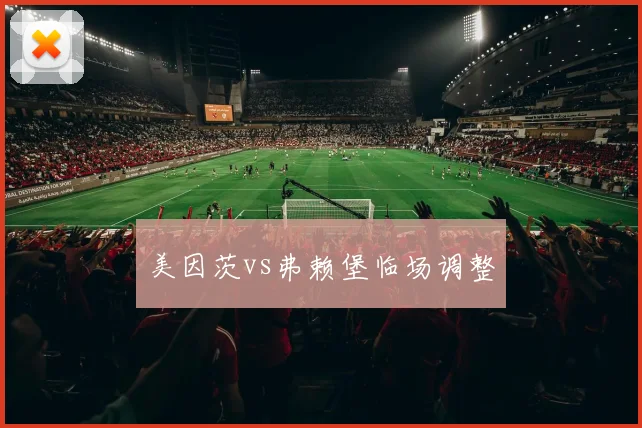 美因茨vs弗赖堡临场调整