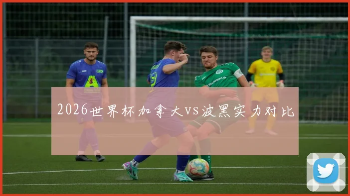 2026世界杯加拿大vs波黑实力对比