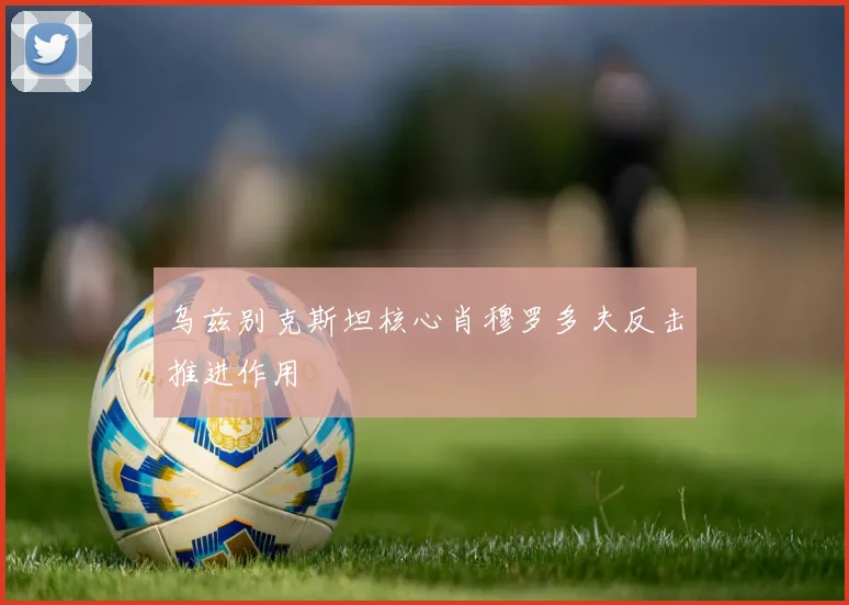 乌兹别克斯坦核心肖穆罗多夫反击推进作用