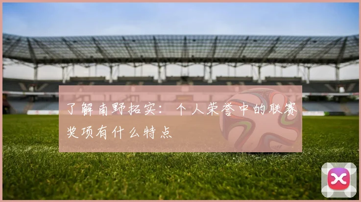 了解南野拓实：个人荣誉中的联赛奖项有什么特点